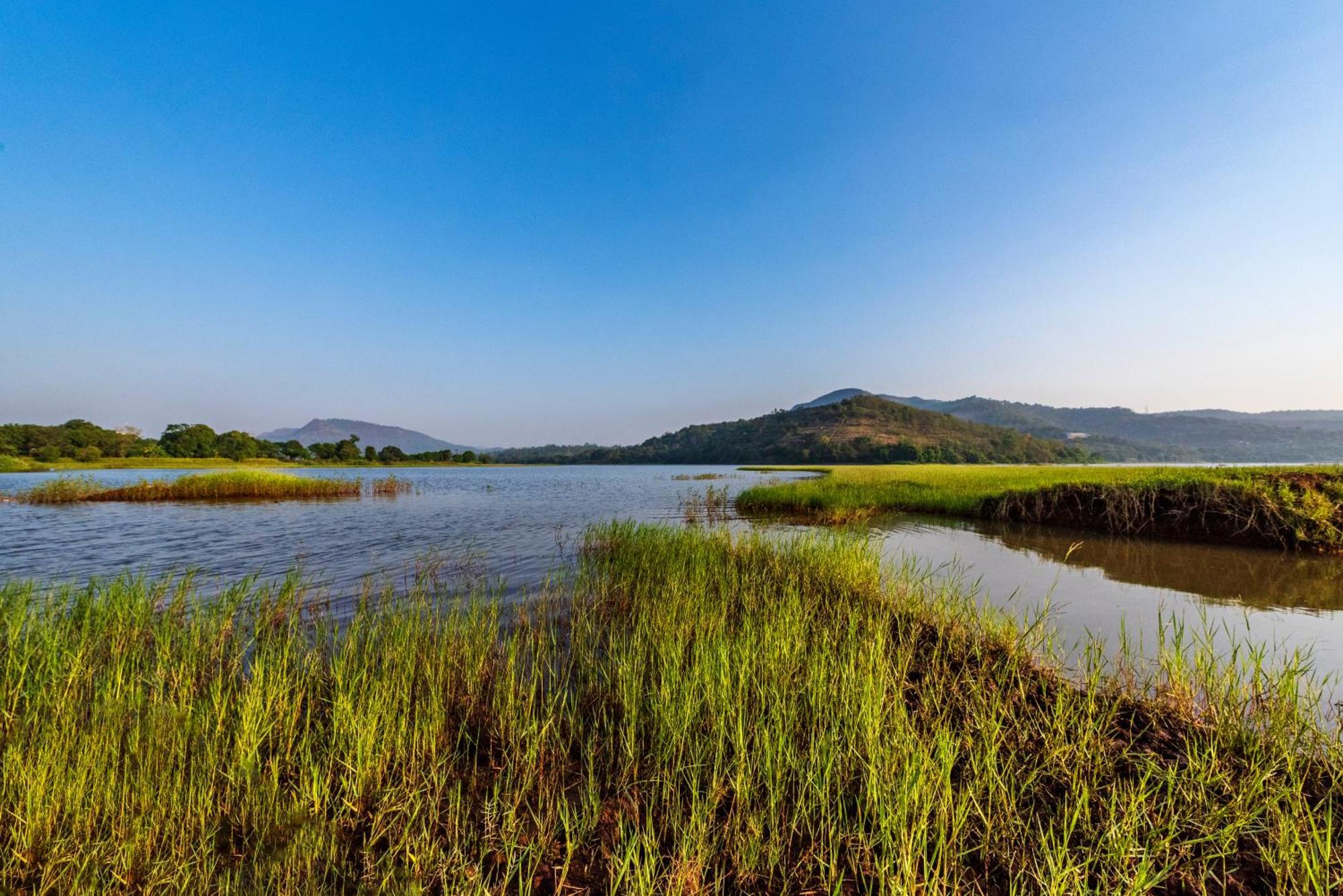 Saffronstays Lakeview Nivara - Farm Stay Villa With Private Pool Near פונה מראה חיצוני תמונה