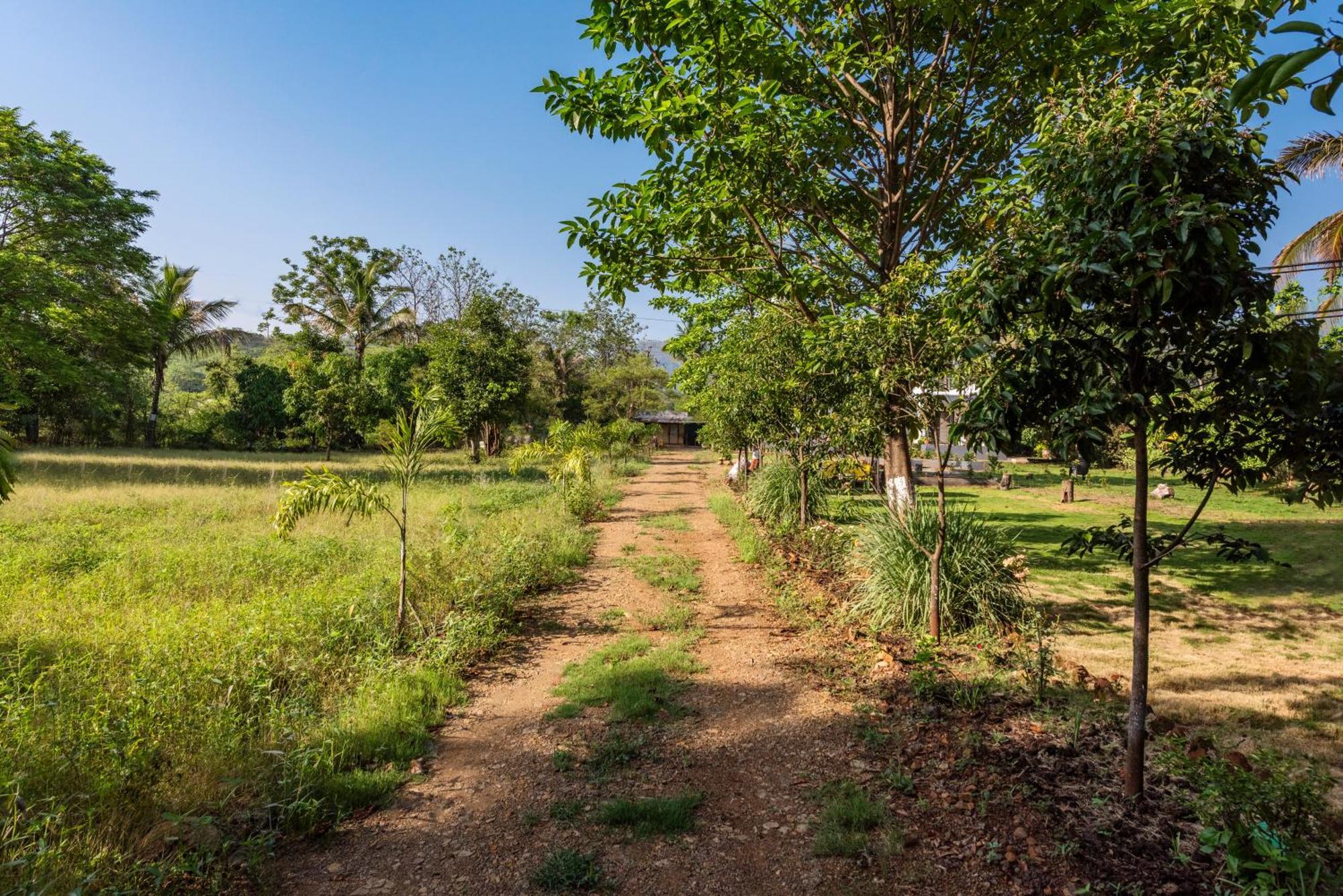 Saffronstays Lakeview Nivara - Farm Stay Villa With Private Pool Near פונה מראה חיצוני תמונה